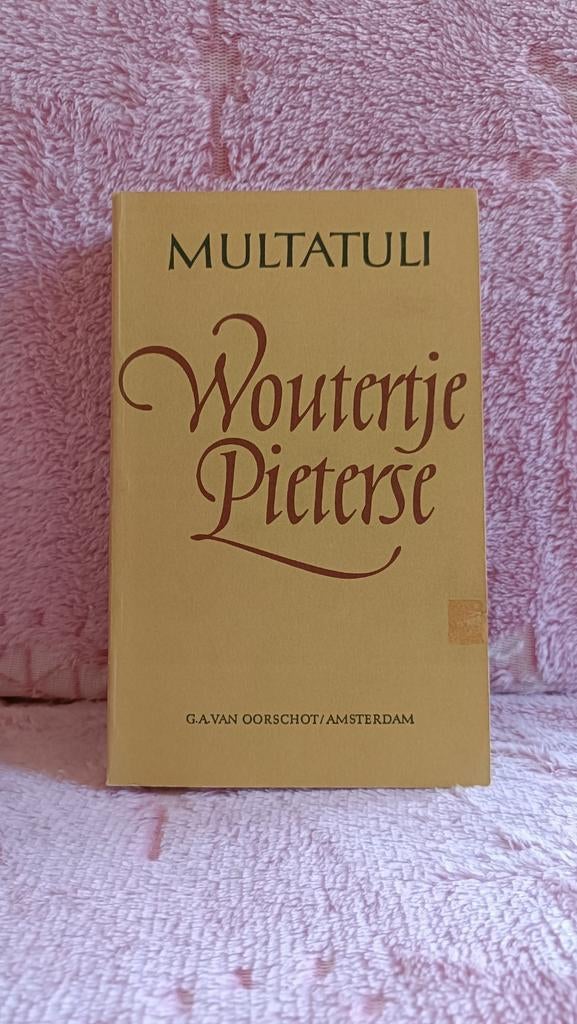 Multatuli - Woutertje Pieterse, Boeken, Gelezen, Nederland, Multatuli, Ophalen of Verzenden