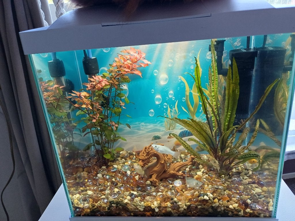 Aquarium compleet, Ophalen, Nieuw, Leeg aquarium