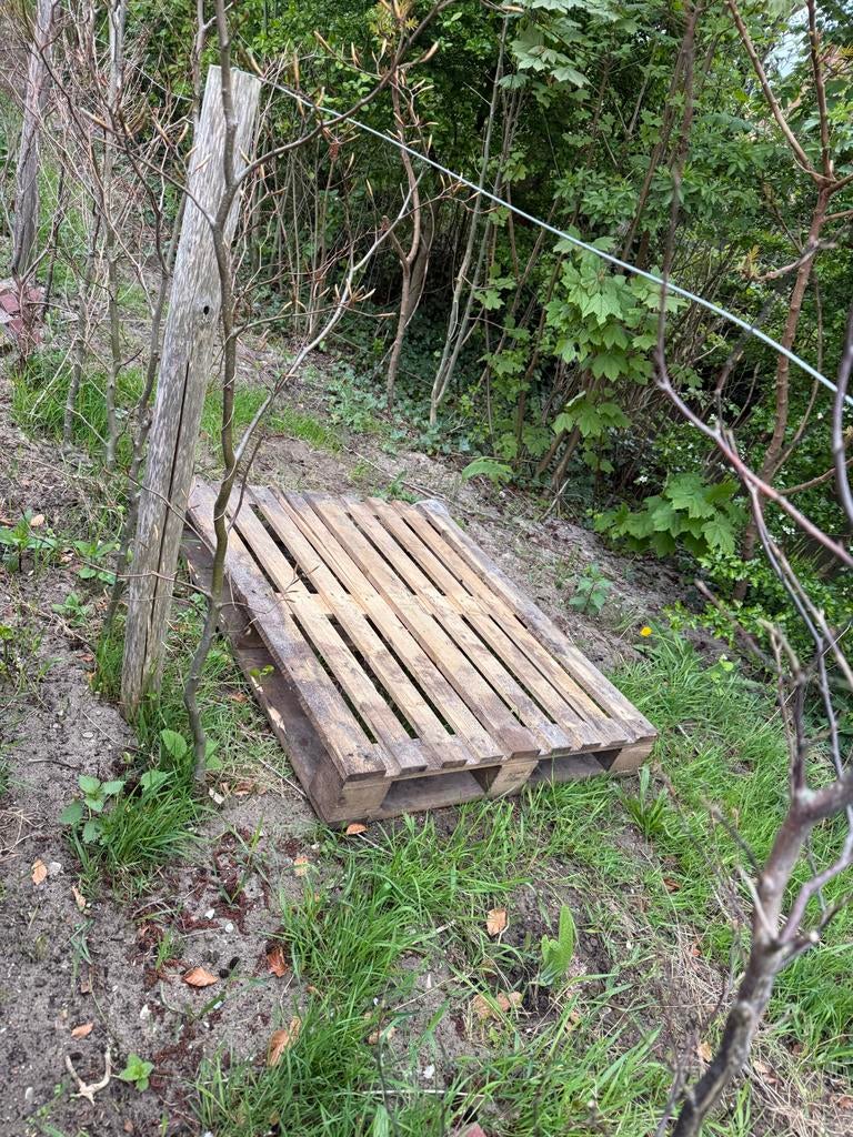 Gratis afhalen: Houten Pallet, Ophalen, Overige houtsoorten