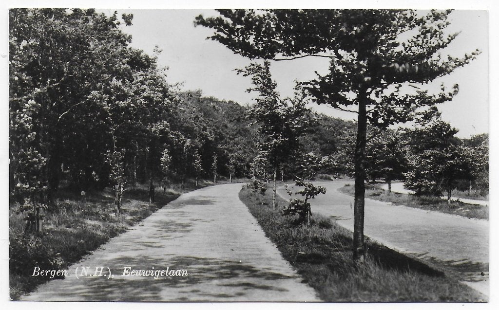 Bergen Eeuwigelaan ansichtkaart ui 1956 ( B8149), Ophalen of Verzenden, 1960 tot 1980, Gelopen, Noord-Holland