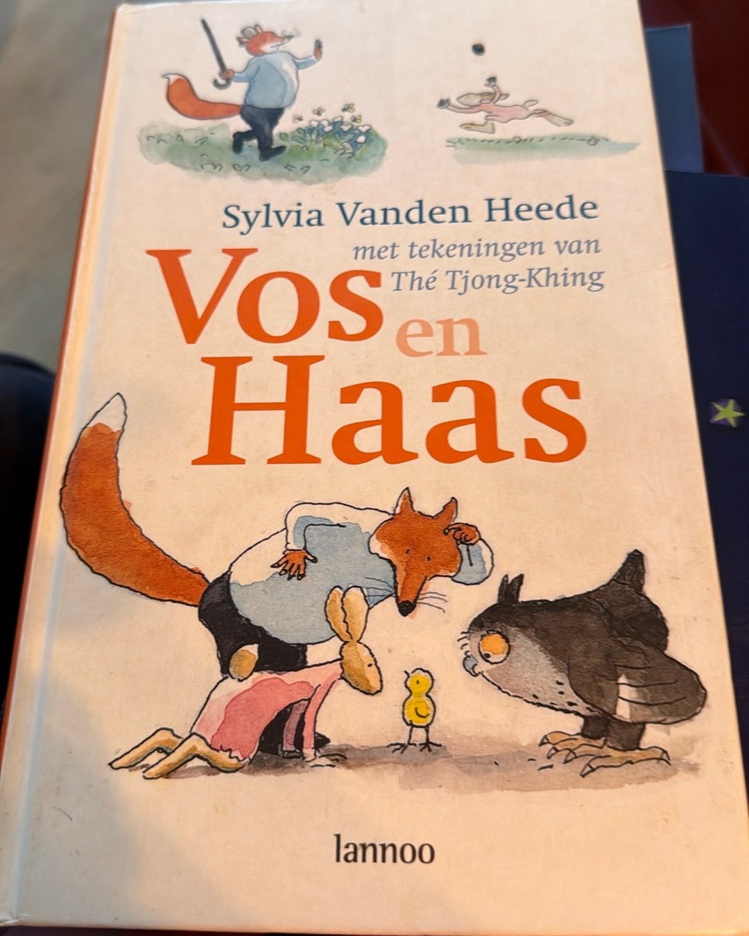 Sylvia Vanden Heede - Vos en Haas, Fictie algemeen, Ophalen of Verzenden, Zo goed als nieuw, Sylvia Vanden Heede