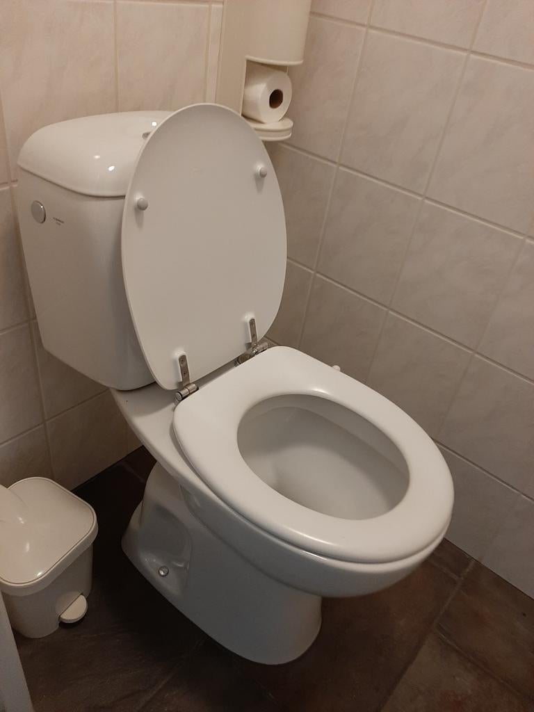 Verhoogde  toilet net accessoires, Doe-het-zelf en Verbouw, Sanitair, Ophalen, Toilet