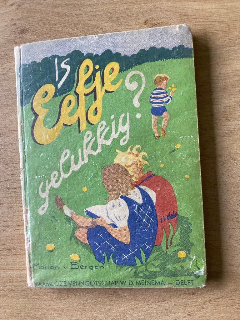 Boek Marian van Bergen, Ophalen of Verzenden, Gelezen, Fictie algemeen