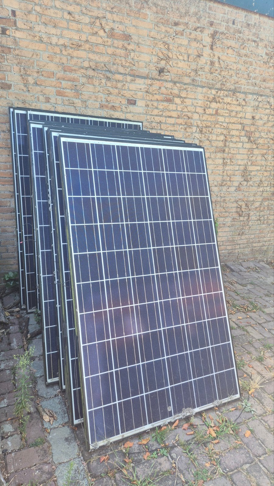 zonnepanelen 250 wp, 20 stuks, compleet, Ophalen, Gebruikt, Paneel