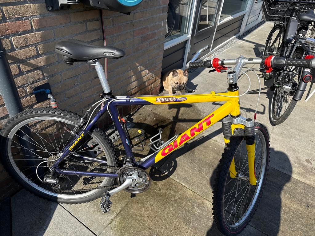 Giant Boulder mountainbike 19.5 inch 24  speed, Ophalen, Gebruikt, Hardtail, Heren