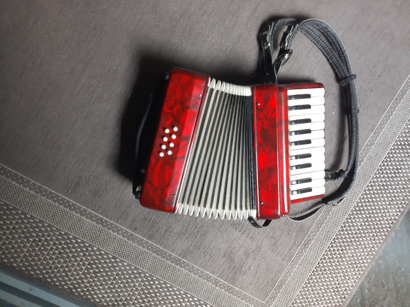 kleine accordeon., Gebruikt, Met riemen, Toetsaccordeon, Ophalen