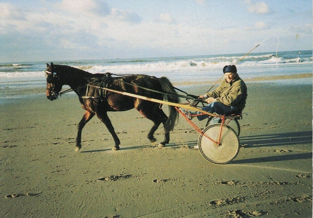 Draverij met Sulky met pikeur 551, Verzamelen, Ophalen of Verzenden, 1980 tot heden, Ongelopen, Paard