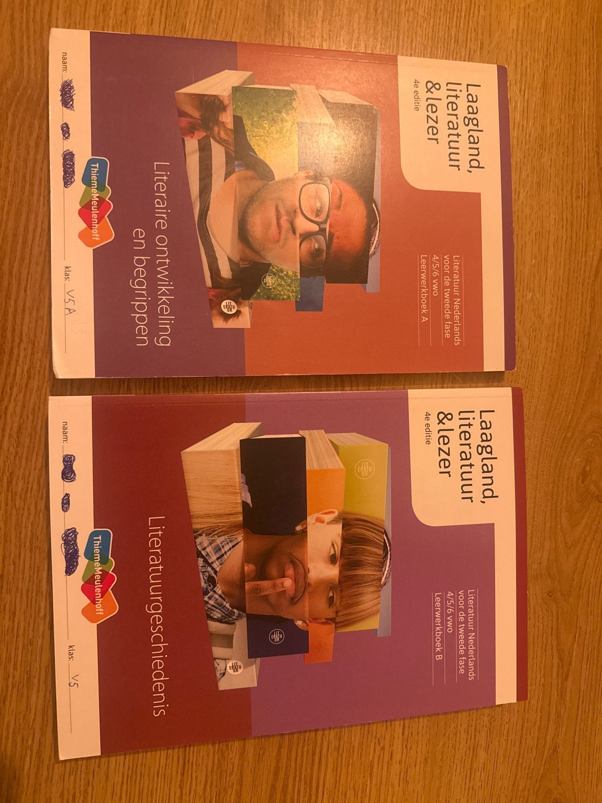 Laagland literatuur & lezer 4e editie VWO, Boeken, Ophalen of Verzenden, Zo goed als nieuw, VWO, Nederlands