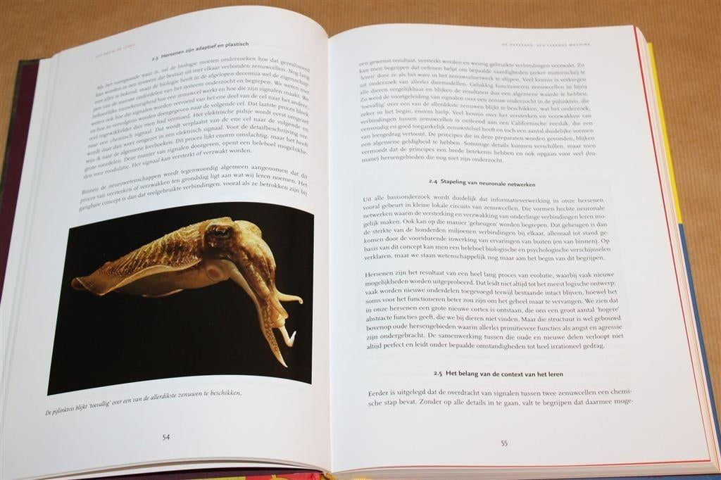 Brein[at]work — Wetenschap & Toepassing van Breinkennis, Boeken, Ophalen of Verzenden, Zo goed als nieuw
