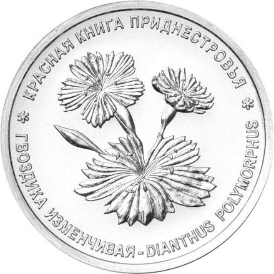 Transnistrië 1 Roebel 2025 “Bloem de Anjer”, Verzenden, Rusland, Losse munt