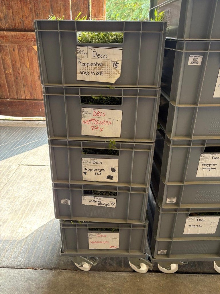 Partij diverse kunstplantjes in potjes (IKEA, 75 stuks), Ophalen, Groen, IKEA of Sweden AB, Onderhoudsvrij