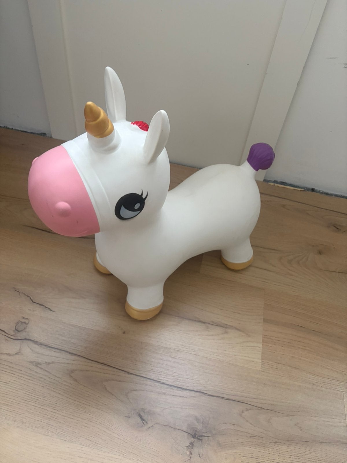 Duckiez Unicorn skippydier, Ophalen