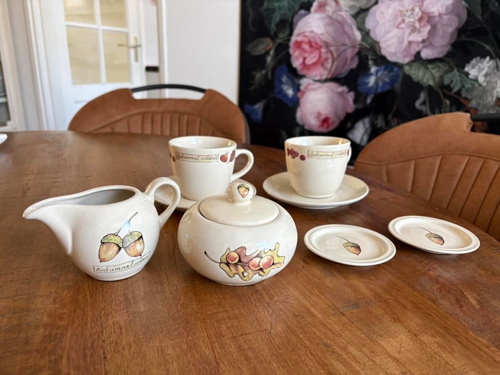 Servies Jet ter Steege Autumnal Colour, Ophalen of Verzenden, Zo goed als nieuw, Overige stijlen, Kop(pen) en/of Schotel(s)