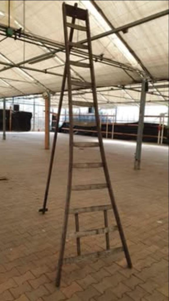 Houten driepoot ladder 325 cm voor fruitpluk/tuin, Ophalen of Verzenden, Gebruikt, Ladder, 2 tot 4 meter