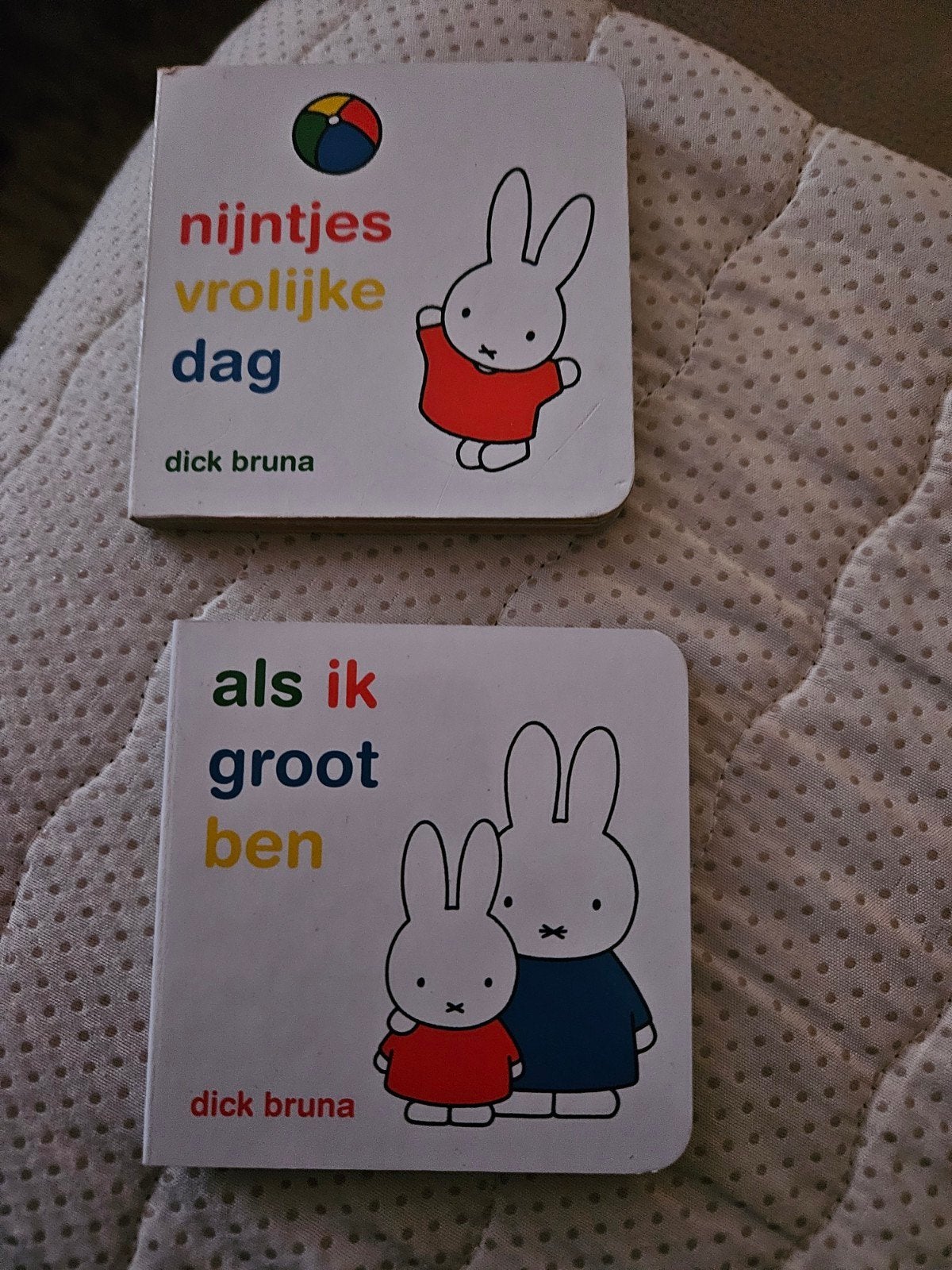 2 Nijntje boekjes: Vrolijke Dag & Als Ik Groot Ben, Ophalen of Verzenden, Dick Bruna, Uitklap-, Voel- of Ontdekboek, 0 tot 6 maanden