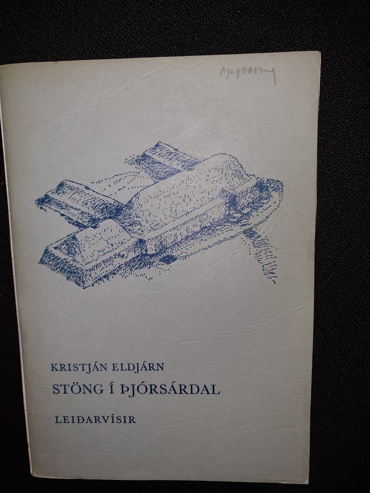 archeologie IJsland Stong i Pjorsardal Leidarvisir, 14e eeuw of eerder, Ophalen of Verzenden, Zo goed als nieuw, Kristjan Eldjarn