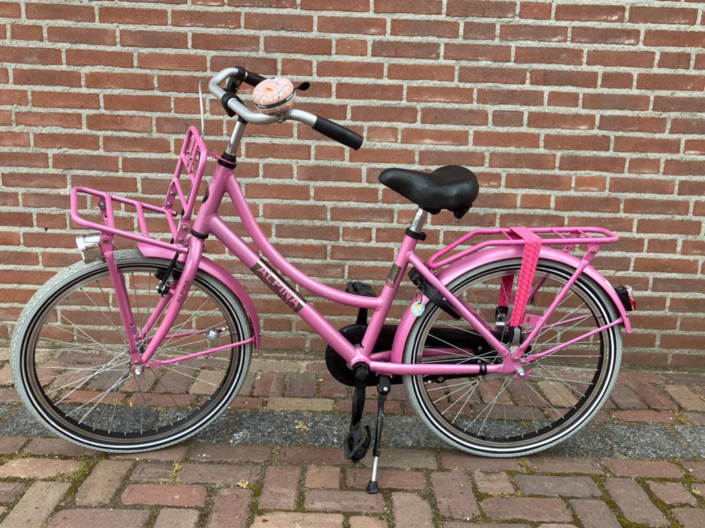 Roze transport fiets Alpina, Ophalen, Zo goed als nieuw, 22 inch