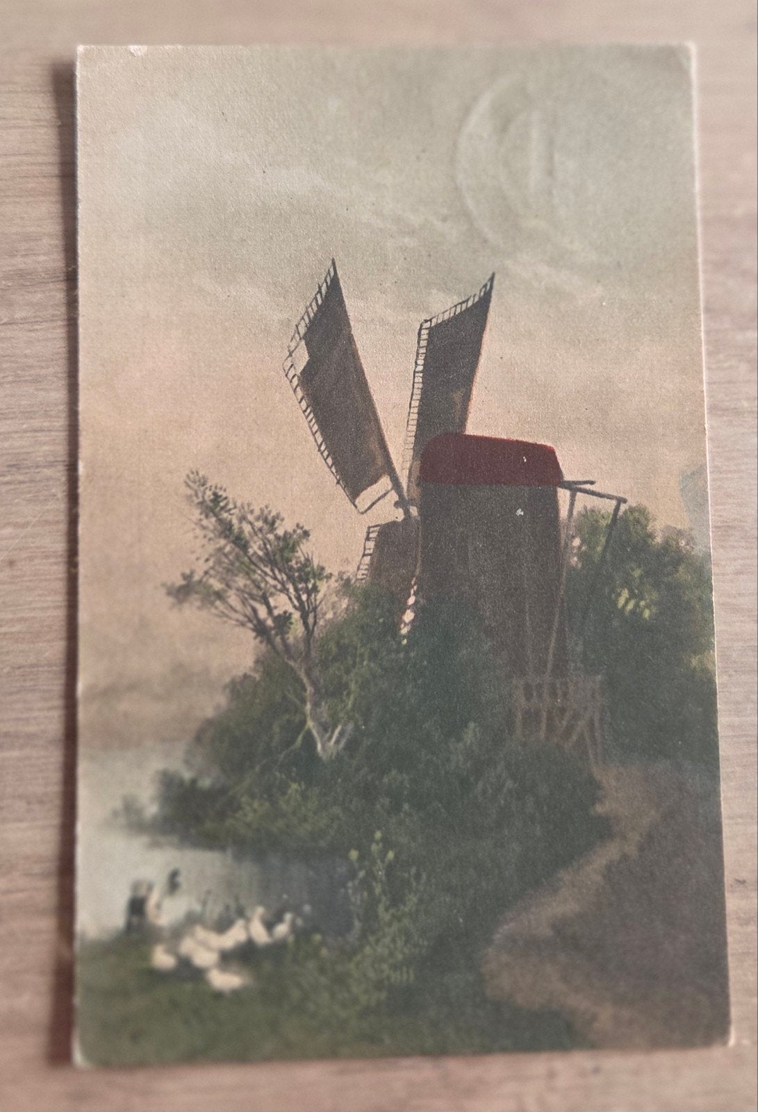 Oude ansichtkaart: 1923 Molen en eenden Valkenburg, Ophalen of Verzenden, 1920 tot 1940, Limburg