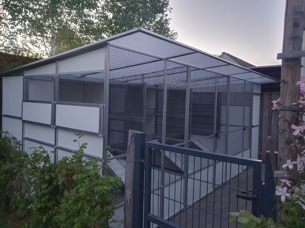 Konijnenpension en Caviapension, Dieren en Toebehoren, Meerdere dieren, Dwerg