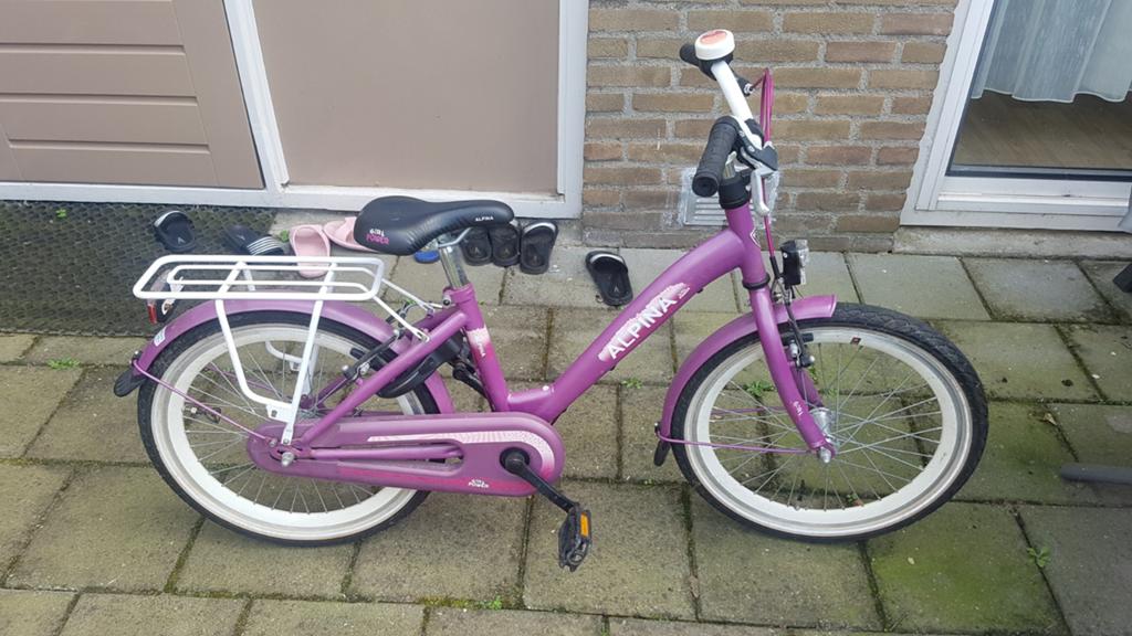 Alpina meisjes fiets 20 inch, Ophalen, Zo goed als nieuw, 20 inch, Alpina