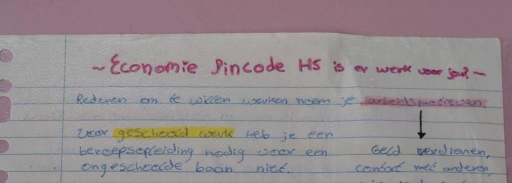 Samenvattingen VMBO GL/TL/Mavo, Ophalen of Verzenden, Gamma, Zo goed als nieuw, MBO
