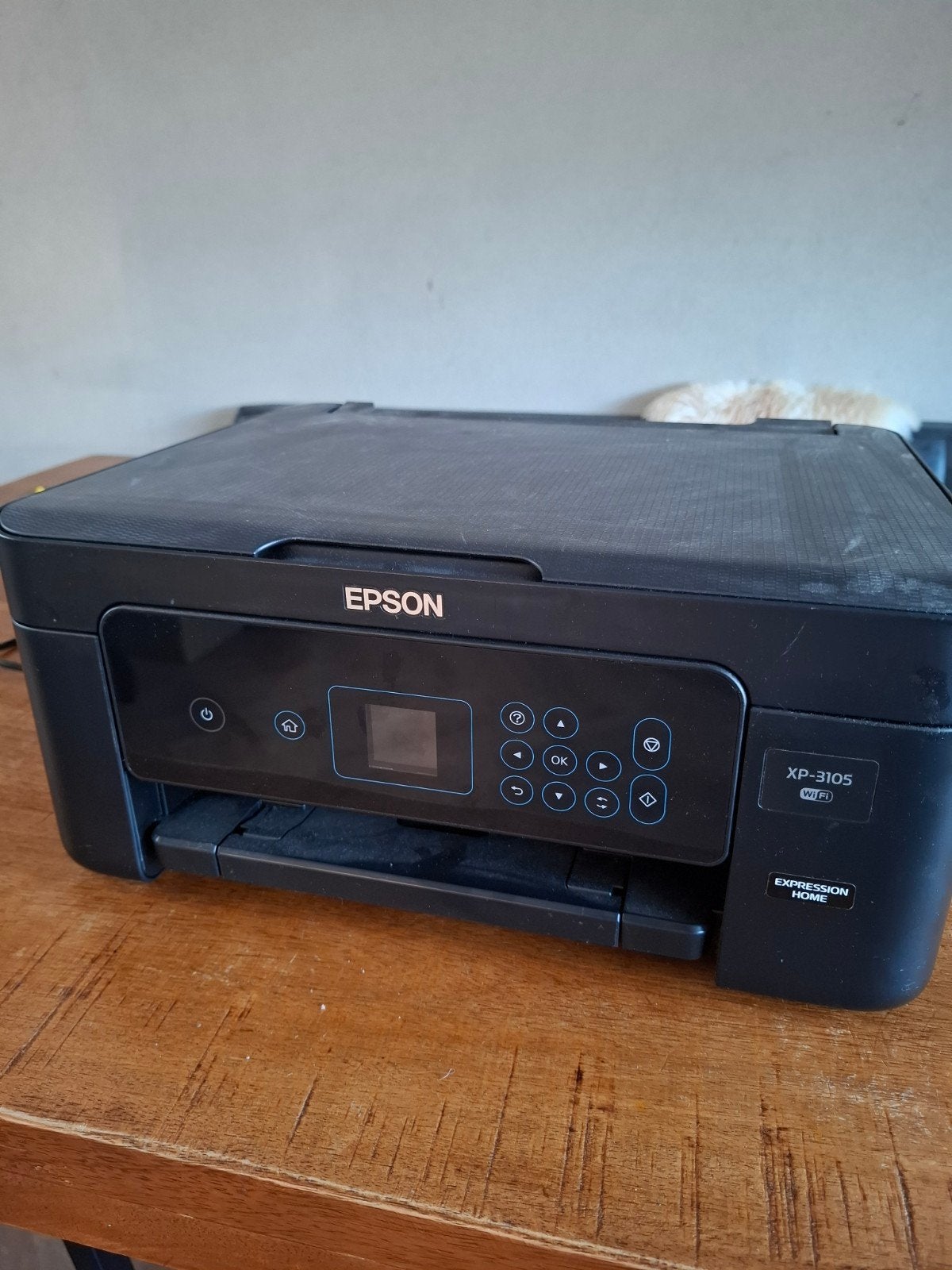 Epson printer (opknapper), Computers en Software, Printers, Ophalen