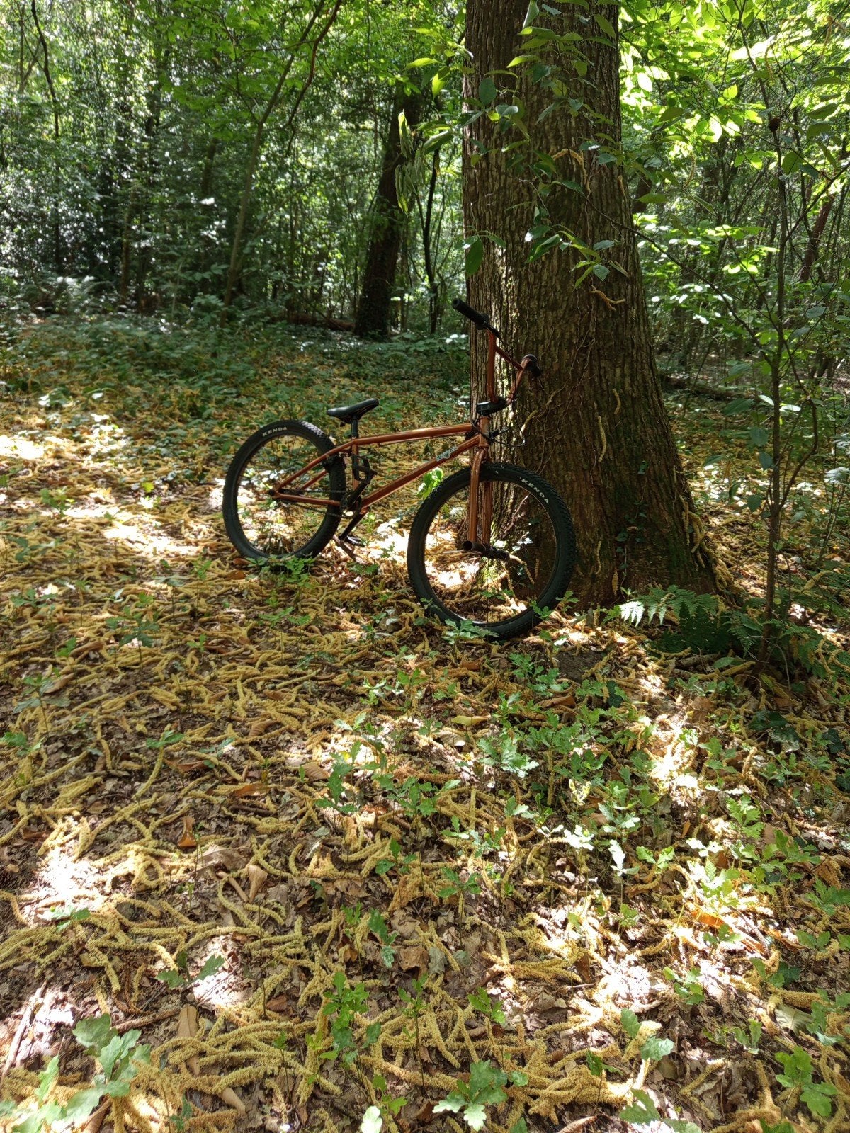 Bmx, Gebruikt, Velgrem, 1 kind, Ophalen
