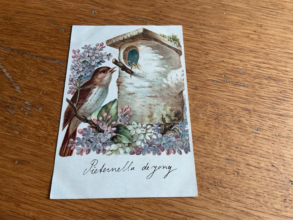H64 vogel, Ophalen of Verzenden, 1980 tot heden, Natuur