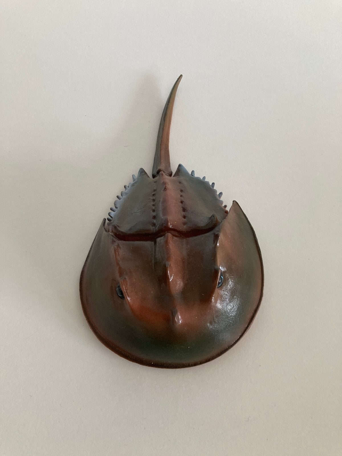 Degenkrab Horseshoe crab, Ophalen of Verzenden, Zo goed als nieuw, Beeldje of Figuurtje