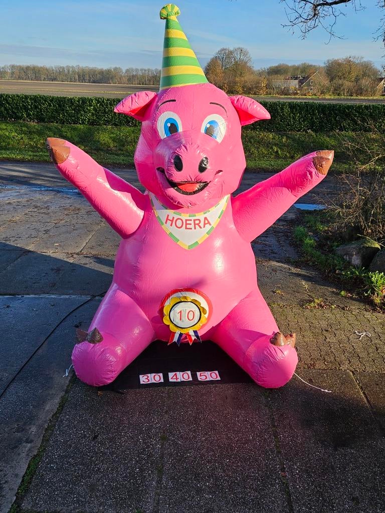 Feest varken te huur!!, Ophalen, Zo goed als nieuw