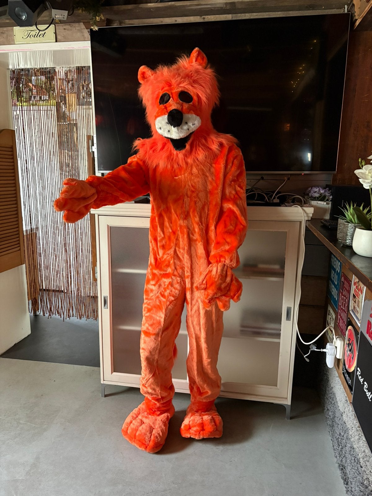 Mascottepak oranje leeuw, Ophalen of Verzenden, Zo goed als nieuw, Oranje of Koningsdag