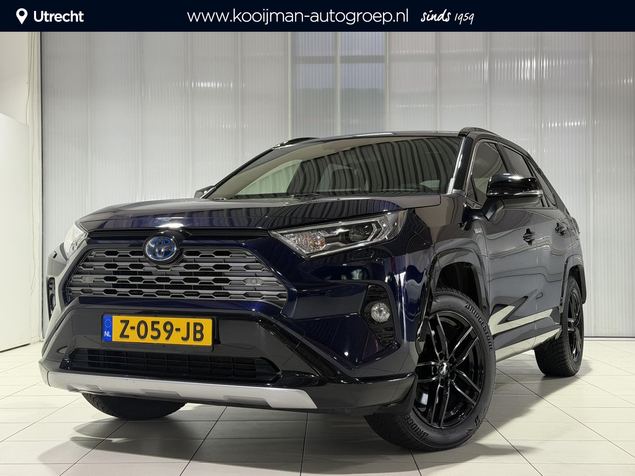 Toyota RAV4 2.5 Hybrid Style Afneembare trekhaak , Winterban