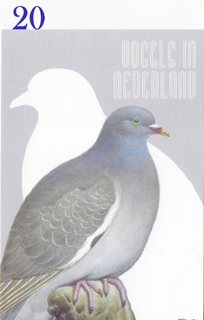 Ansichtkaart Vogels in Nederland Houtduif ( B3949 ), Ophalen of Verzenden, Voor 1920, Ongelopen