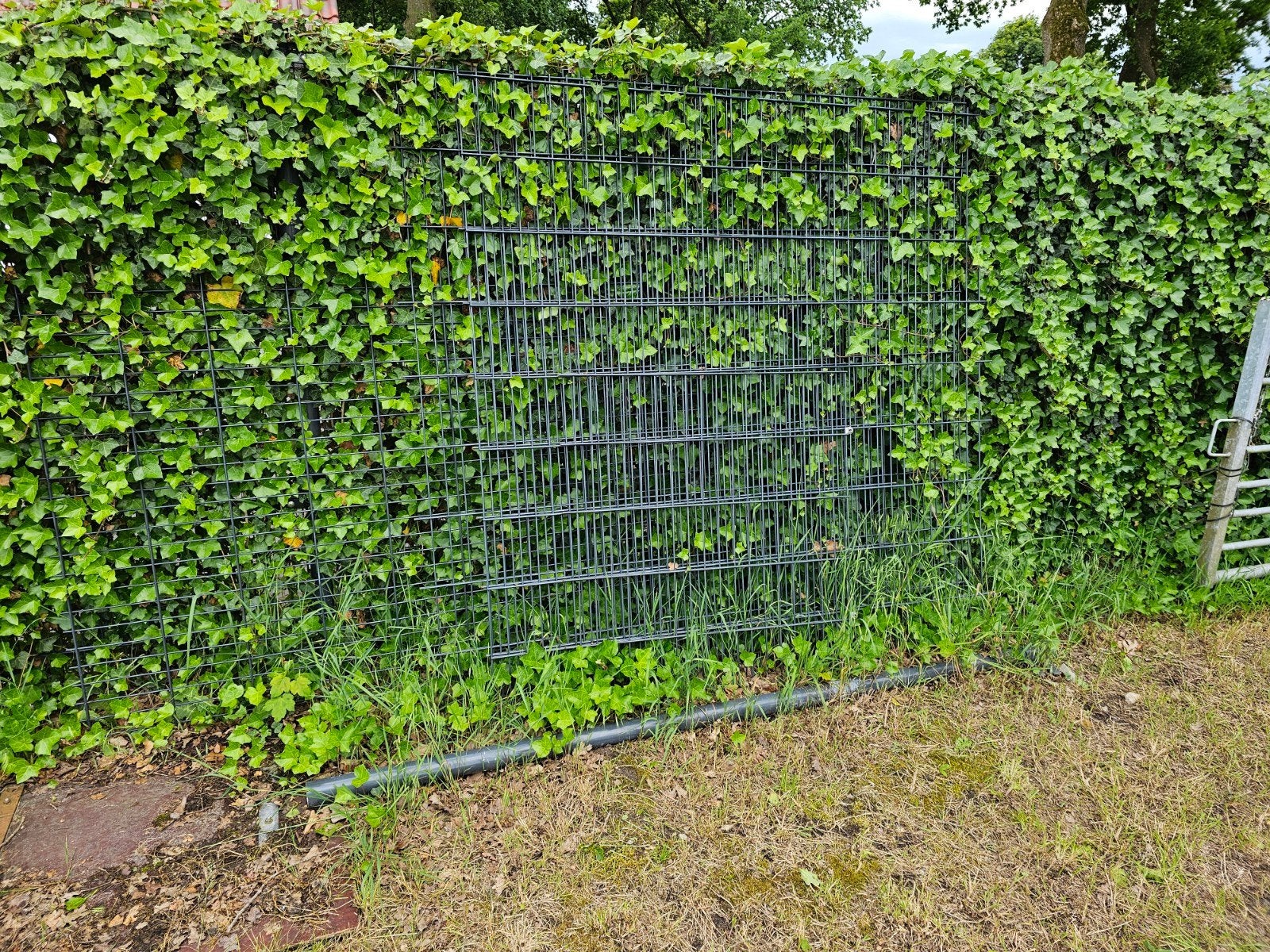 dubbel staafmat, Ophalen of Verzenden, Gebruikt, Minder dan 10 meter