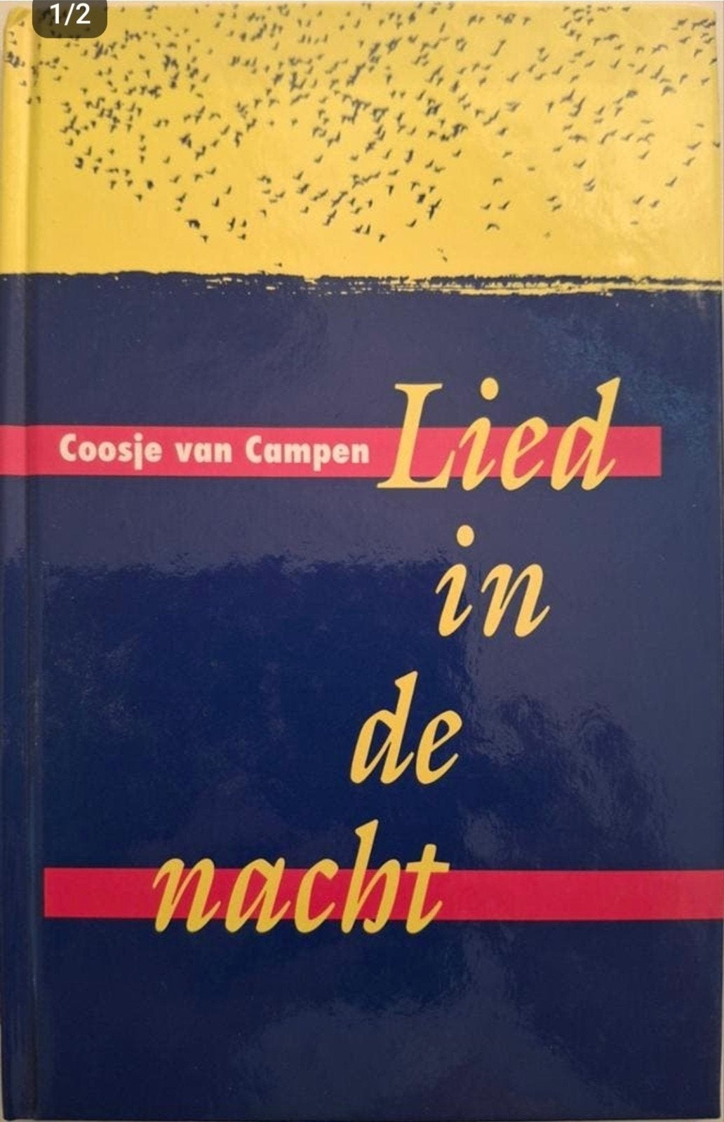 Coosje van Campen - Lied in de nacht, Ophalen of Verzenden, Zo goed als nieuw, Coosje van Campen, Eén auteur