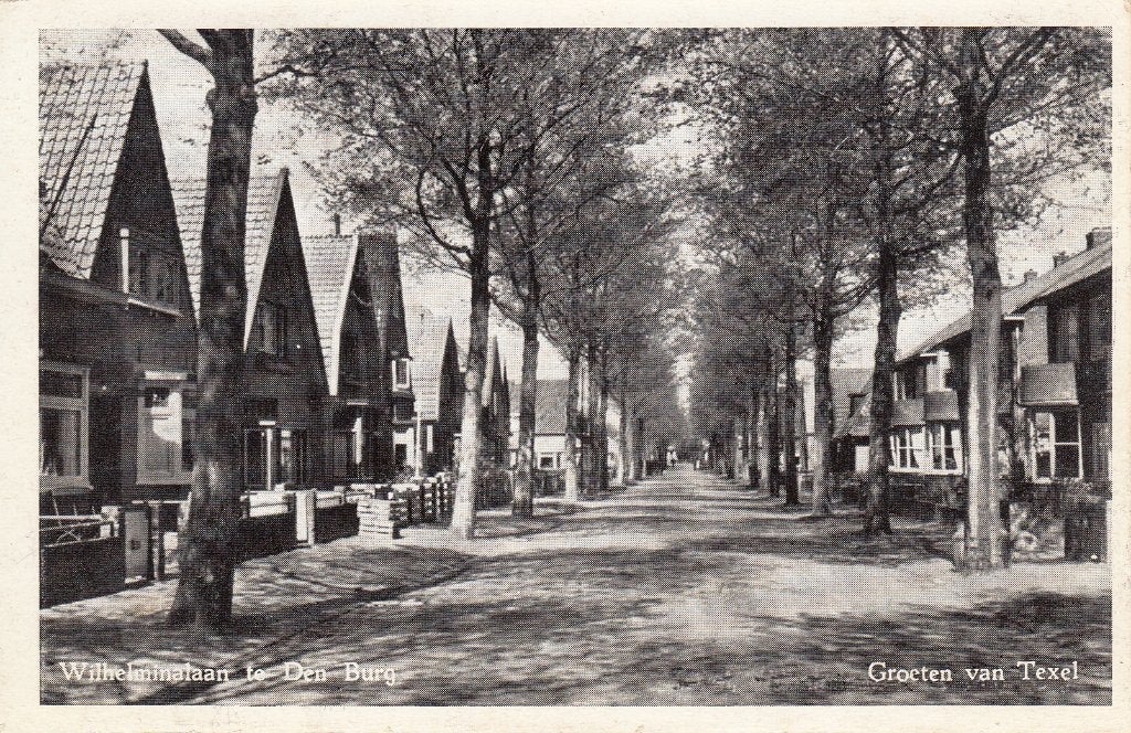 Den Burg ( Texel )   -   Wilhelminalaan ,  1951      =0016=, Ophalen of Verzenden, 1940 tot 1960, Gelopen, Waddeneilanden