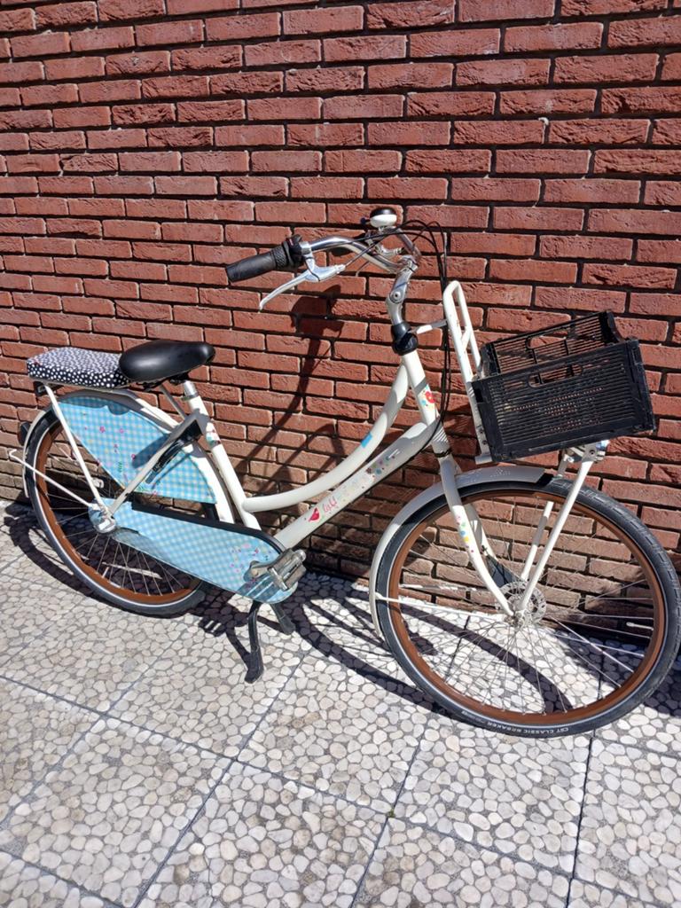 Cortina lief, Fietsen en Brommers, Ophalen, Gebruikt, Cortina transport fiets, Versnellingen