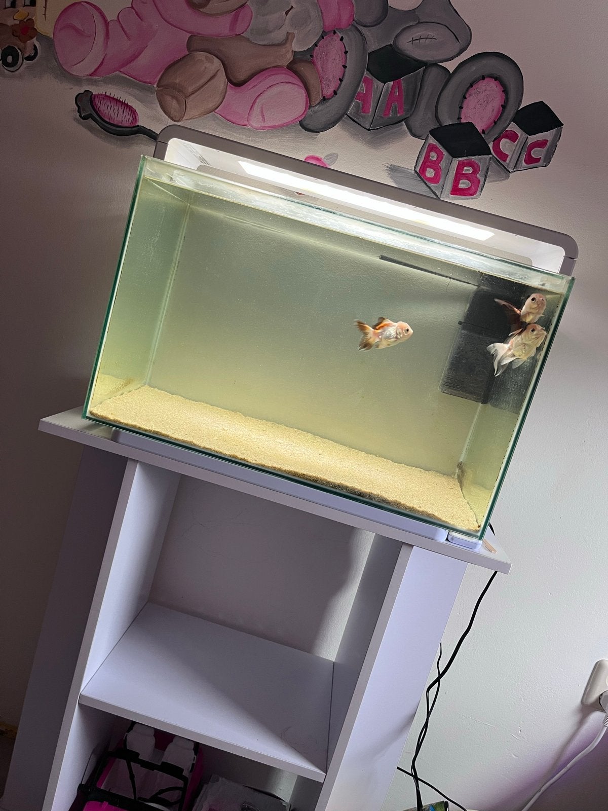 Superfish aquarium 60 liter, Ophalen of Verzenden, Zo goed als nieuw, Leeg aquarium