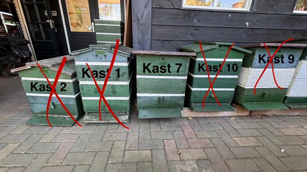 Bijenkasten dubbelwandig, Dieren en Toebehoren, Bijen