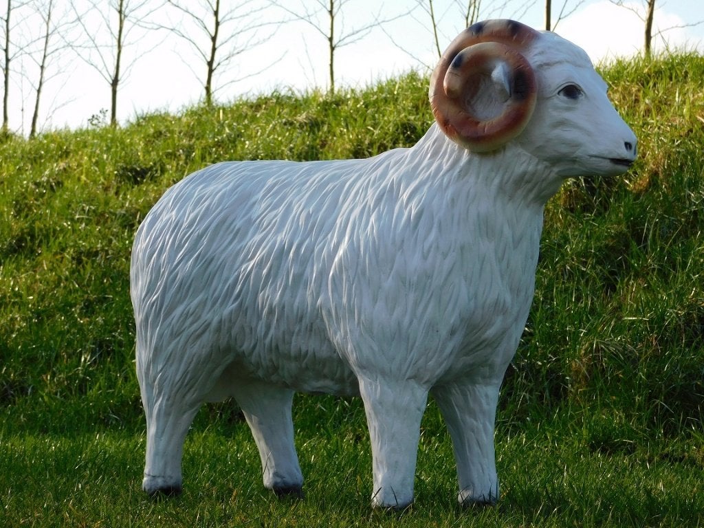 Schaap met Hoorns - 85 cm - Polystone, Dierenbeeld, Kunststof, ., Ophalen of Verzenden
