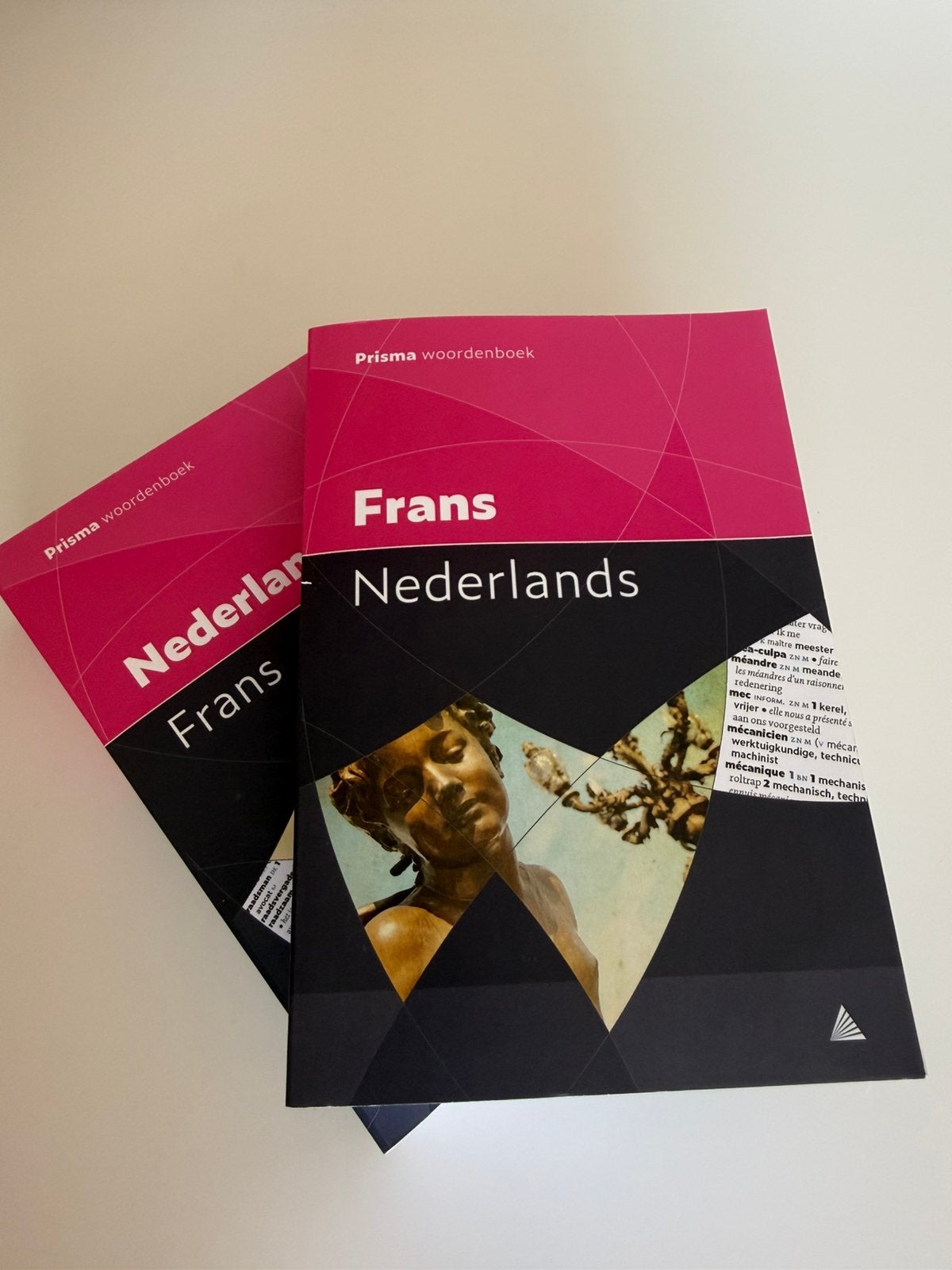 Prisma Woordenboeken Frans-Nederlands & Nederlands-Frans, Boeken, Woordenboeken, Ophalen of Verzenden, Zo goed als nieuw