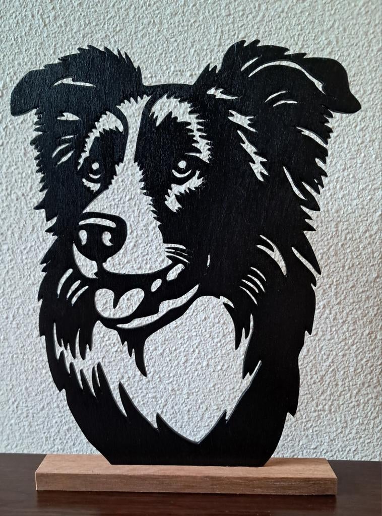 Bordercollie, Ophalen of Verzenden