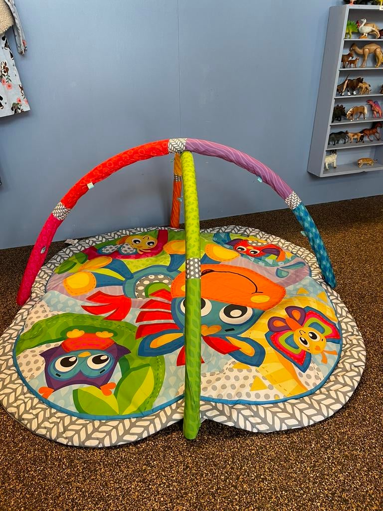 Babygym Playgro, Ophalen, Zo goed als nieuw