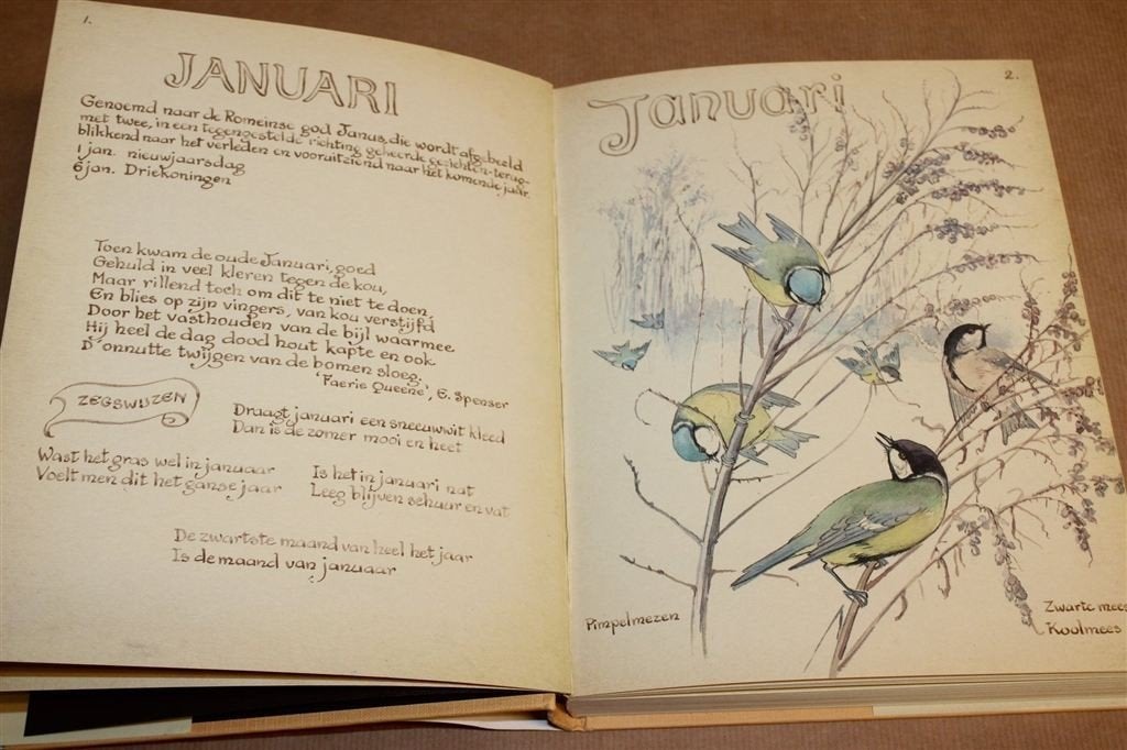De Vreugde van het Landleven — Dagboek 1906, Aquarellen, Boeken, Ophalen of Verzenden, Gelezen