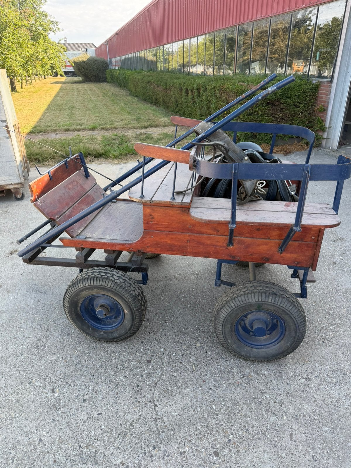 Ponykar met tuig, Dieren en Toebehoren, Gebruikt, Overige typen, Pony