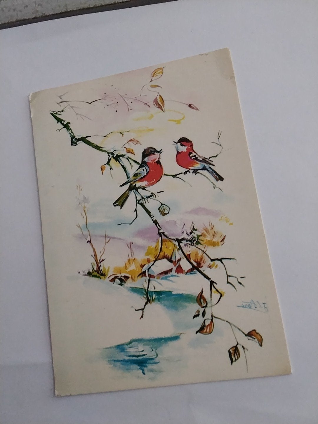 Vintage Ansichtkaart Turkije - Vogels op Tak (Ongelopen), Ophalen of Verzenden, 1960 tot 1980, Ongelopen
