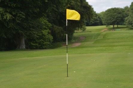 Golf hole met vlag voor in de tuin., Ophalen, Gebruikt, Overige typen, Overige merken