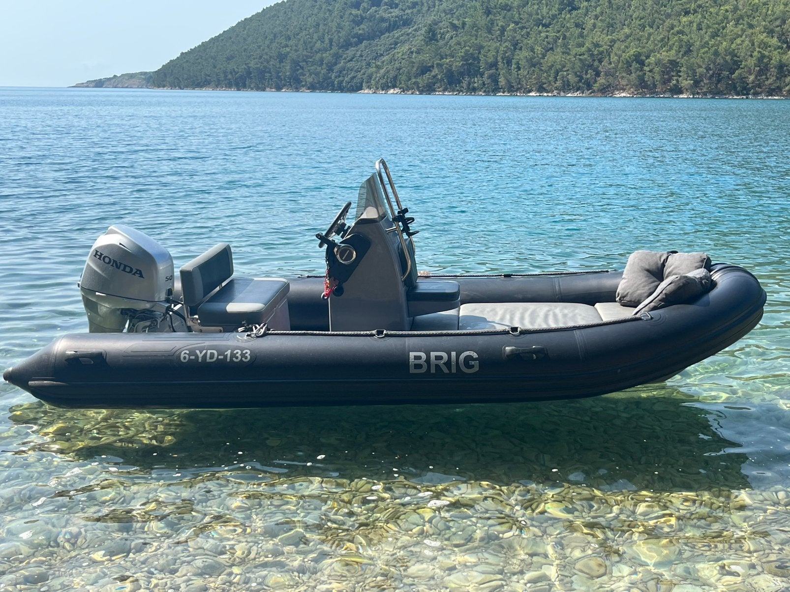 Nette Argo rib met 50 pk Honda motor en Riba kanteltrailer, Ophalen, Anker
