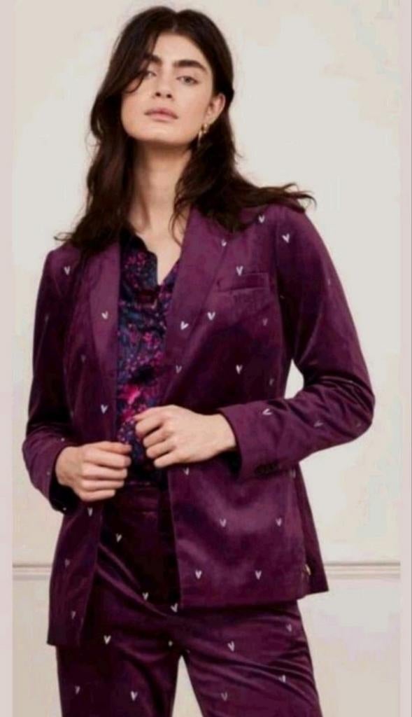 Fabienne Chapot Puck Velvet blazer/ jasje maat XS  *nieuw *, Kleding | Dames, Nieuw, Ophalen of Verzenden, Fabienne Chapot, Jasje