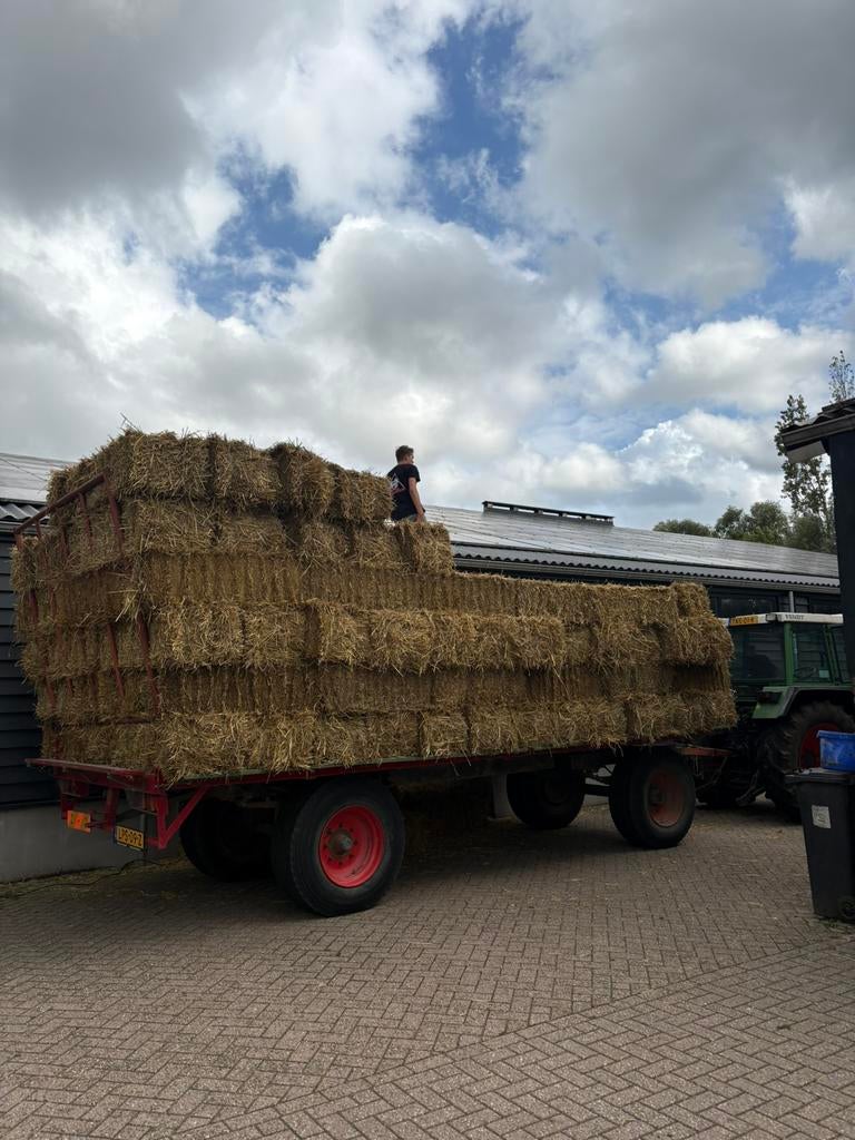 Stro strobalen balen kleine baaltjes 20 kg, Ophalen, Vee